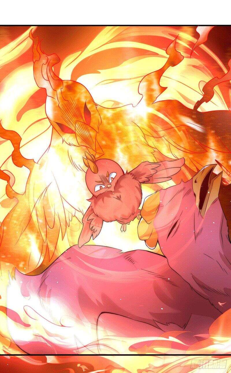 Ta Có Chín Nữ Đồ Đệ Chapter 211 - 28