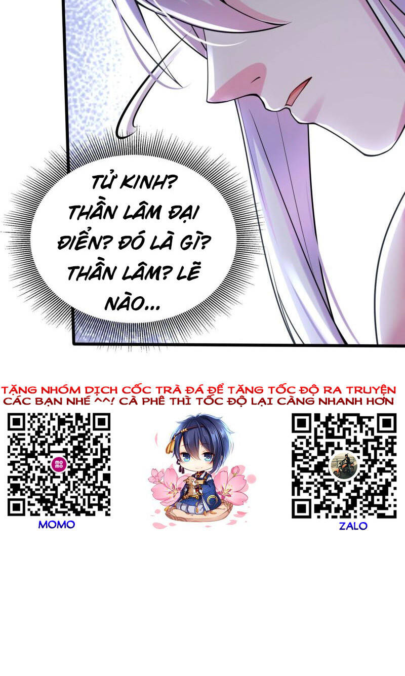 Bổn Tế Tu Chính Là Tiện Đạo Chapter 235 - 40