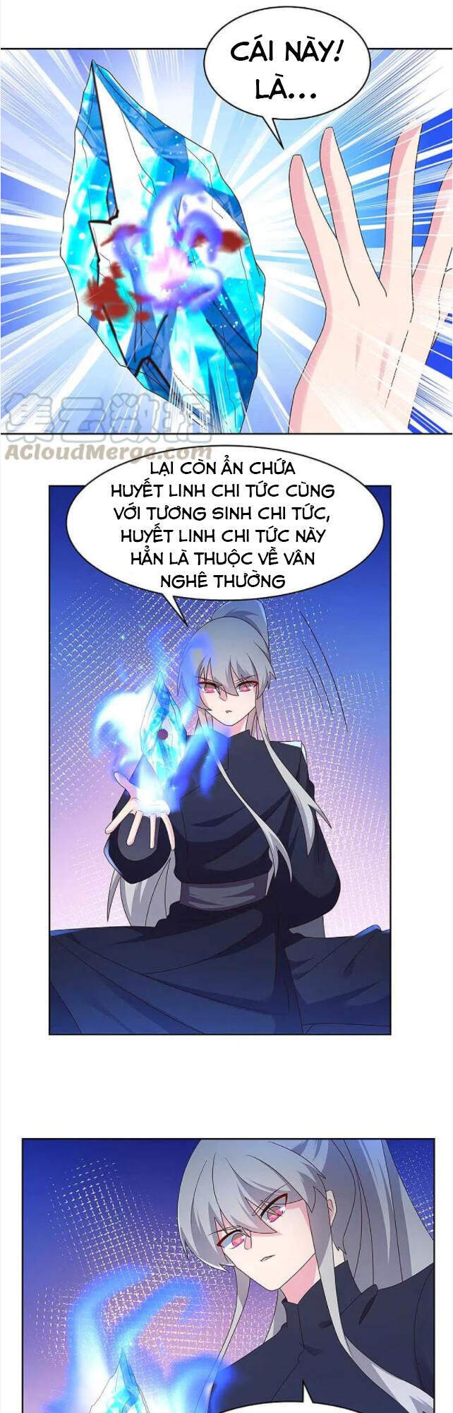 Tôn Thượng Chapter 235 - 17