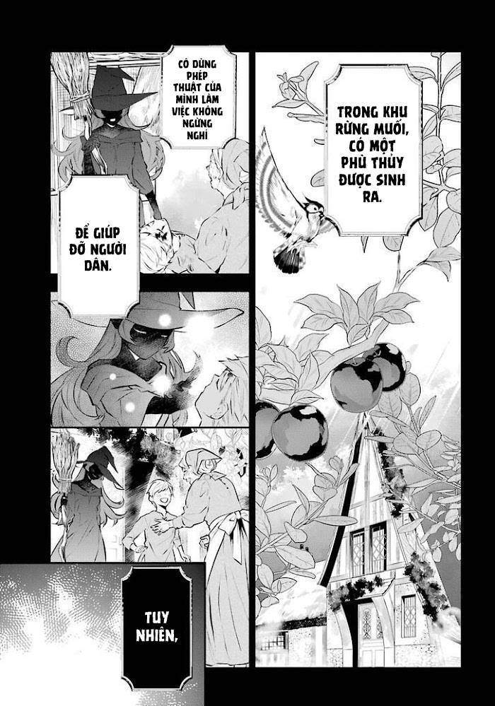 Tales Of Reincarnation In Maydare Chapter 20 - 16