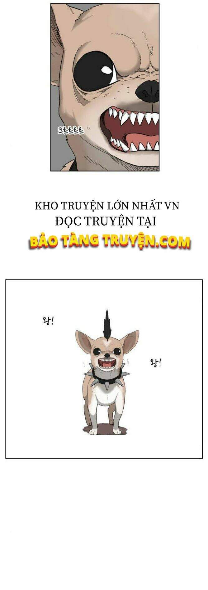 Võ Sĩ Quyền Anh Chapter 75 - 19