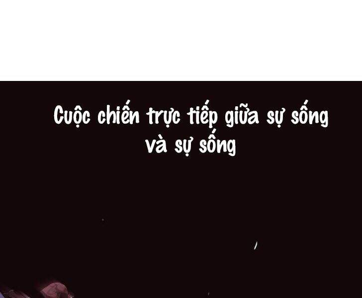 Võ Sĩ Quyền Anh Chapter 88 - 198