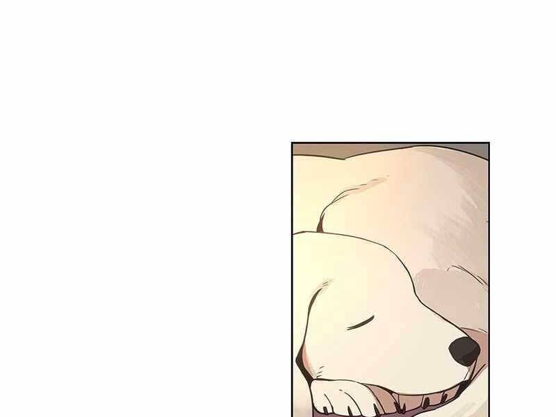 Võ Sĩ Quyền Anh Chapter 116 - 17