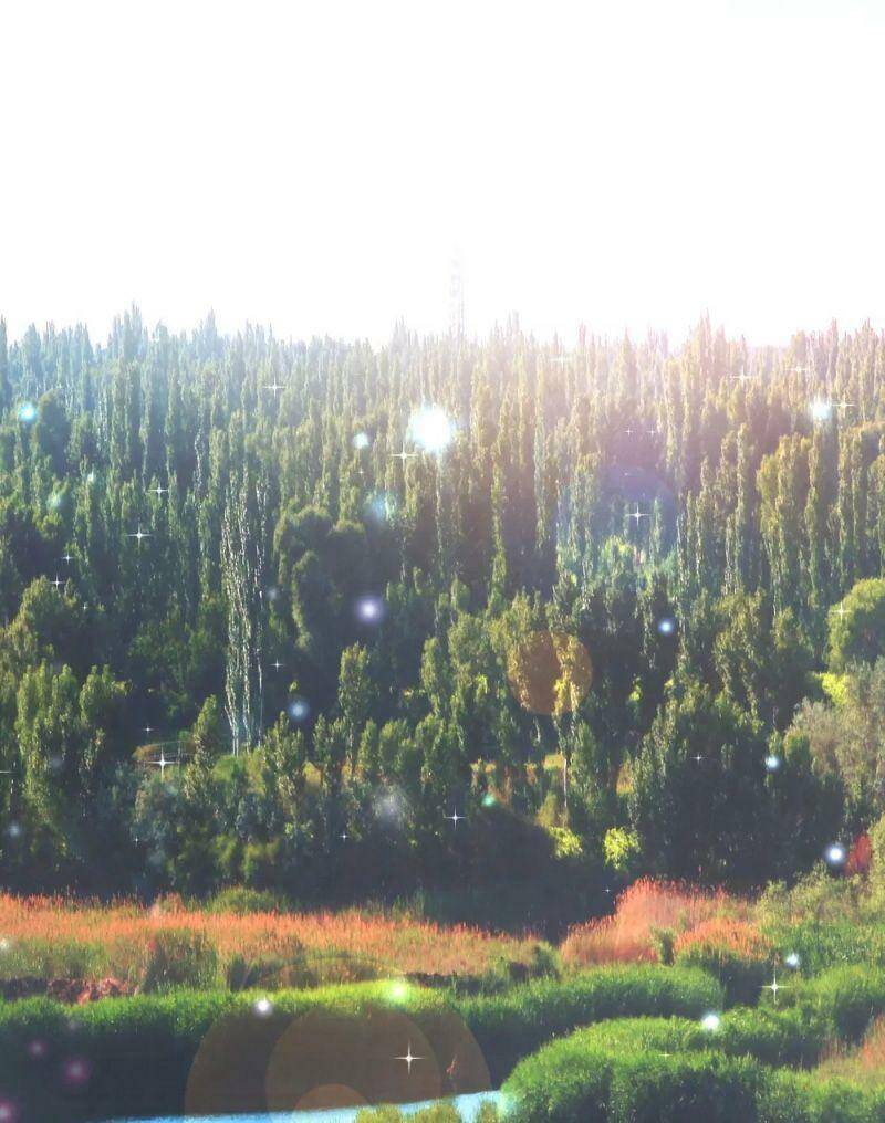 Vòng Bạn Bè Mạnh Nhất Của Tiên Giới Chapter 102 - 43