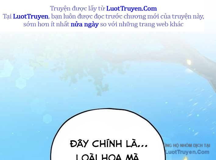 Bố Tôi Quá Mạnh Chapter 223 - 187