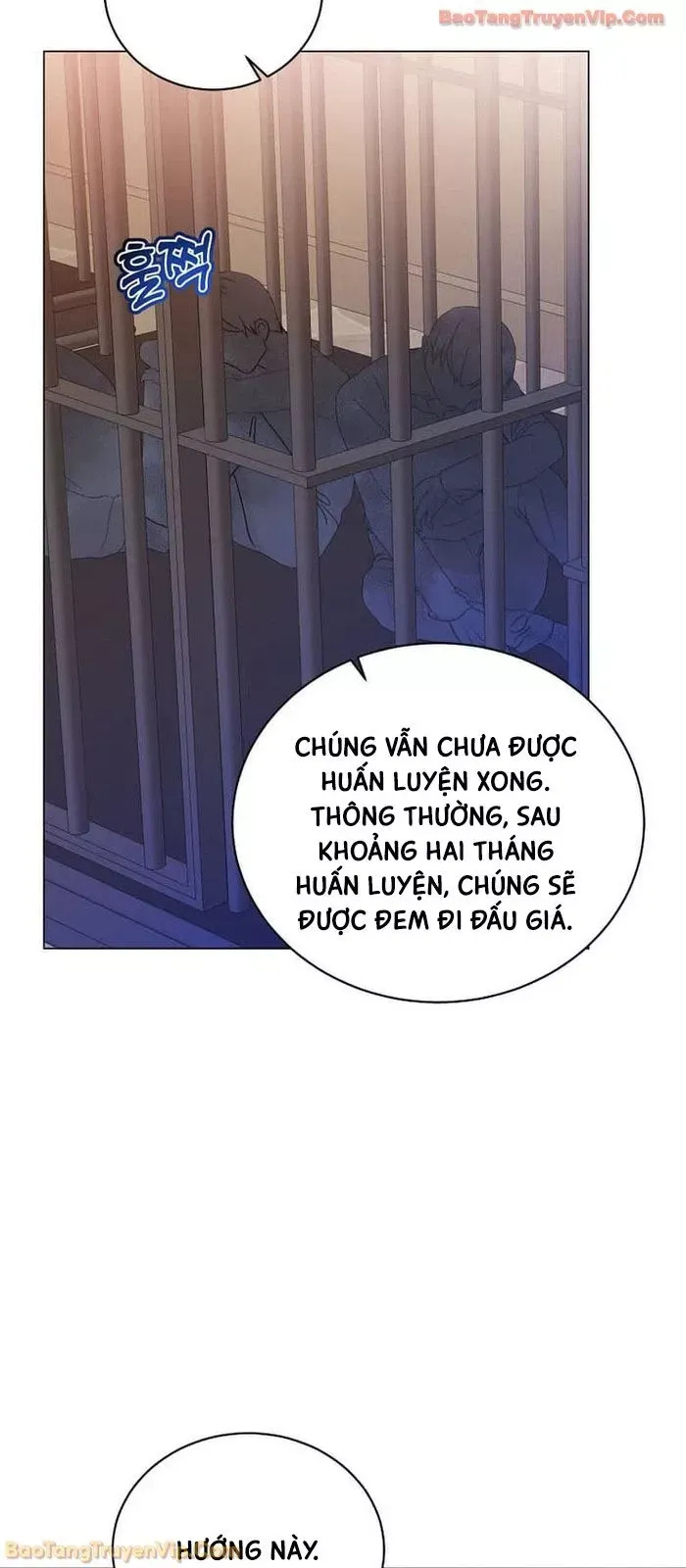 Anh Hùng Mạnh Nhất Trở Lại Chapter 223 - 26