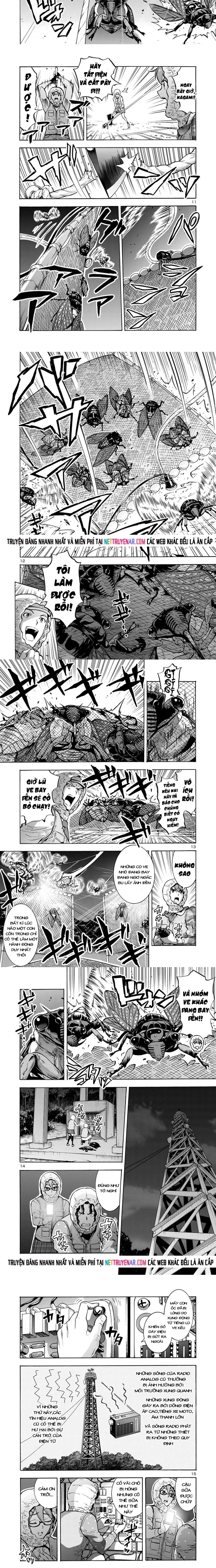 Kyochuu Rettou - Đảo Côn Trùng Chapter 35 - 3