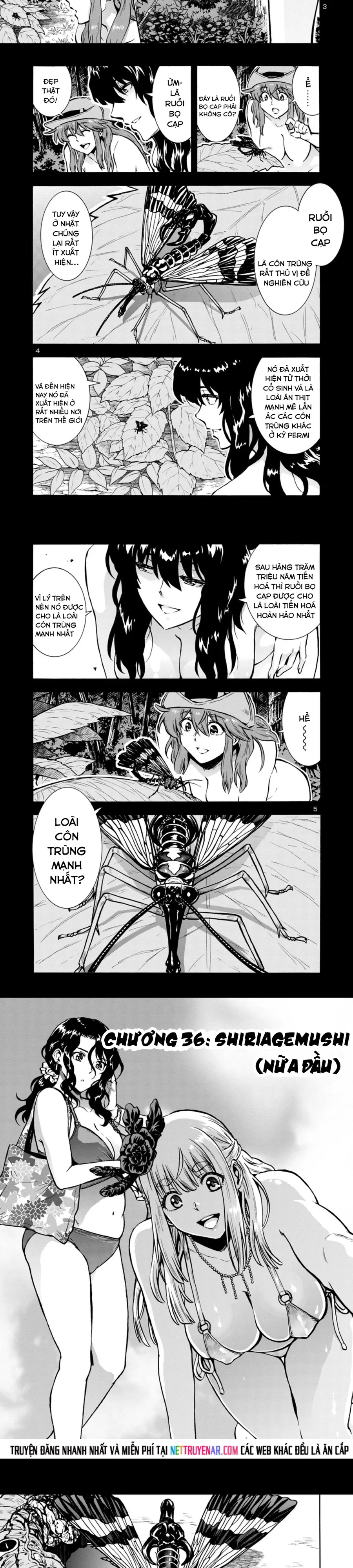 Kyochuu Rettou - Đảo Côn Trùng Chapter 75 - 2