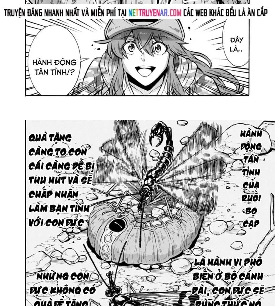 Kyochuu Rettou - Đảo Côn Trùng Chapter 77 - 16