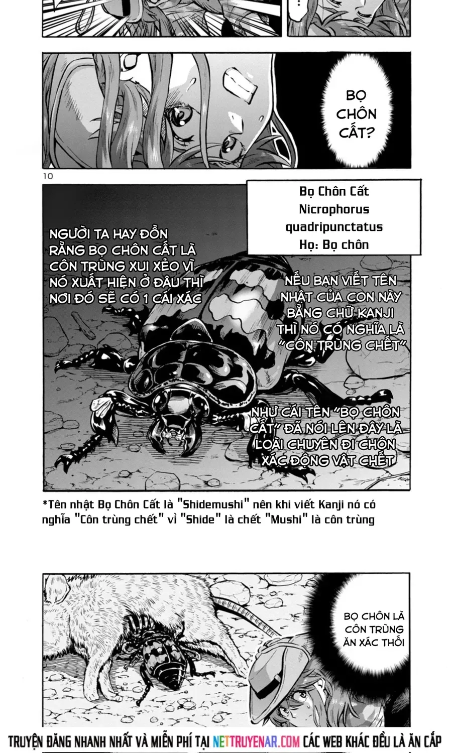 Kyochuu Rettou - Đảo Côn Trùng Chapter 80 - 10