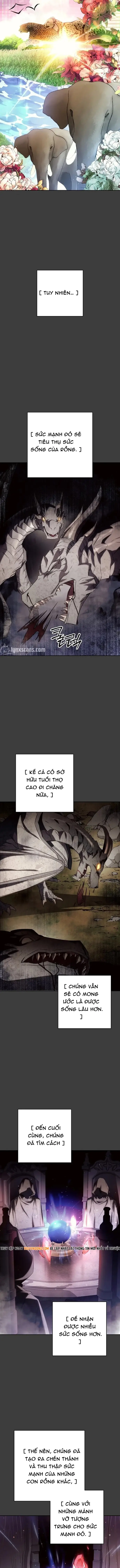 Đấu Trường Sinh Tử Chapter 168 - 6