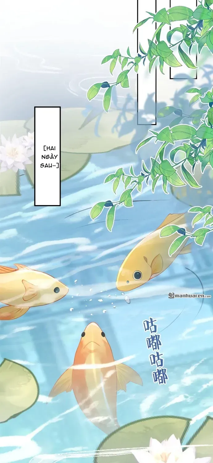 Hệ Thống Xuyên Nhanh: Ác Nam Không Dễ Chọc Chapter 290 - 15