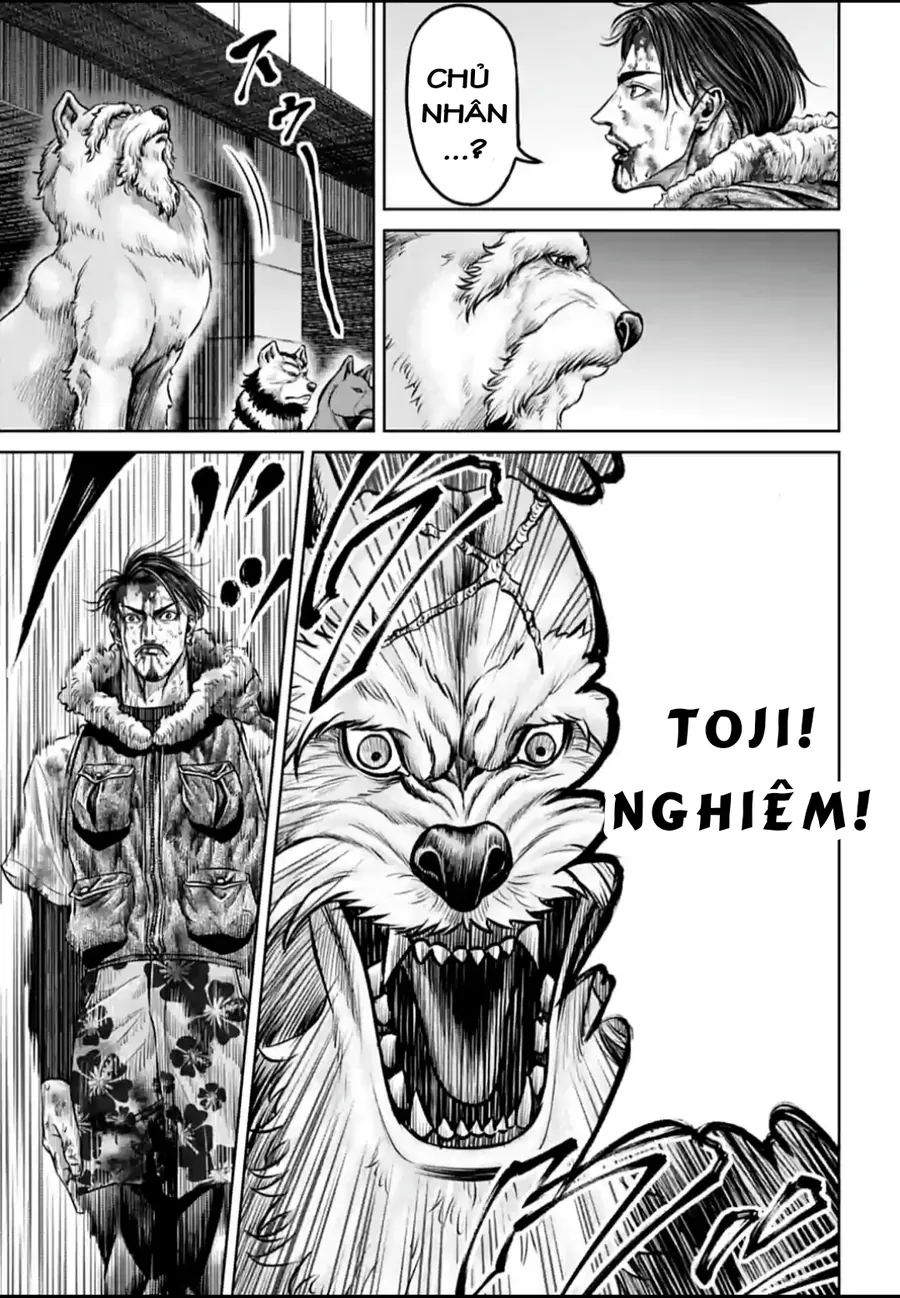 Loạn Đấu Tokyo Chapter 130 - 8