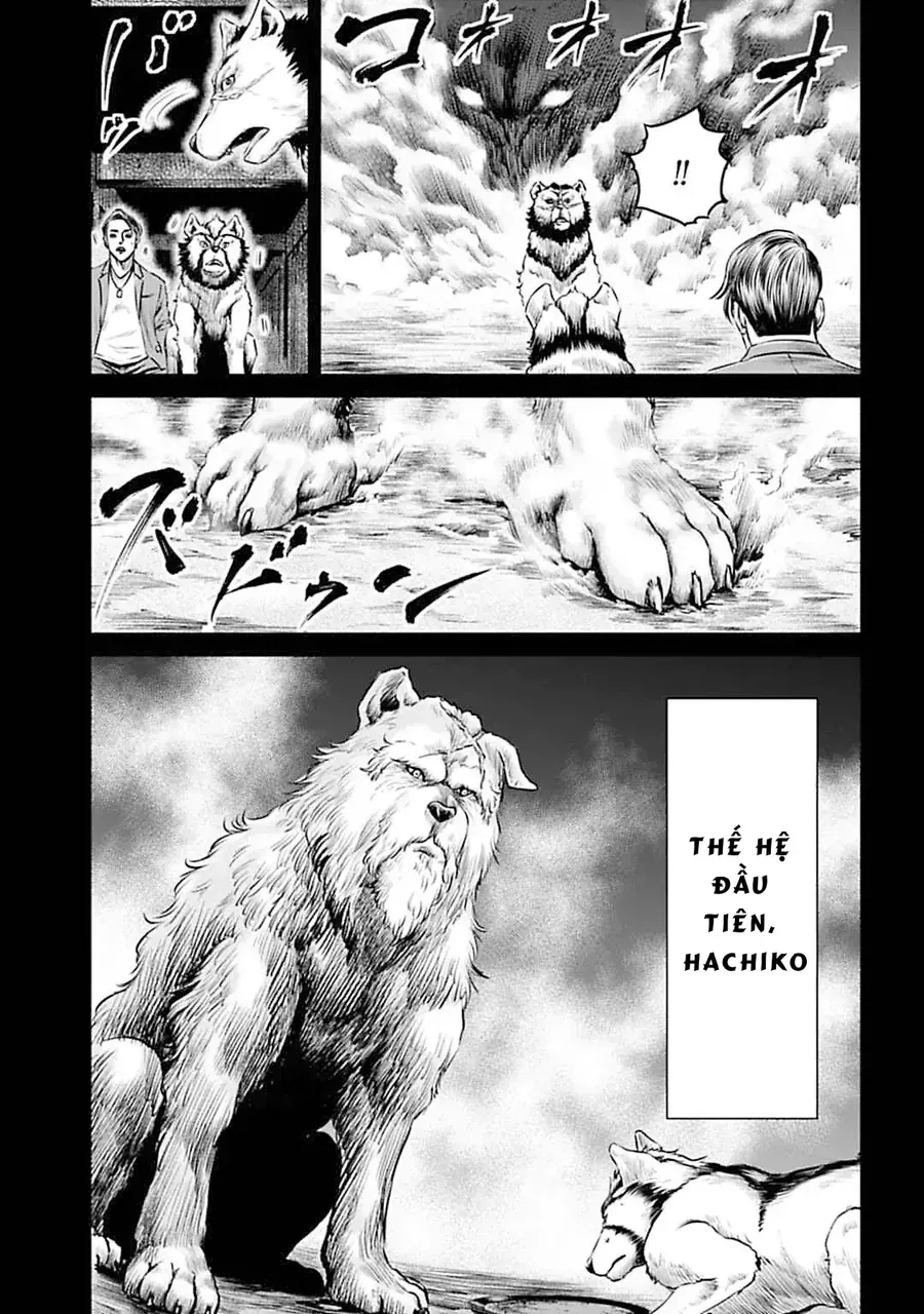 Loạn Đấu Tokyo Chapter 55 - 12