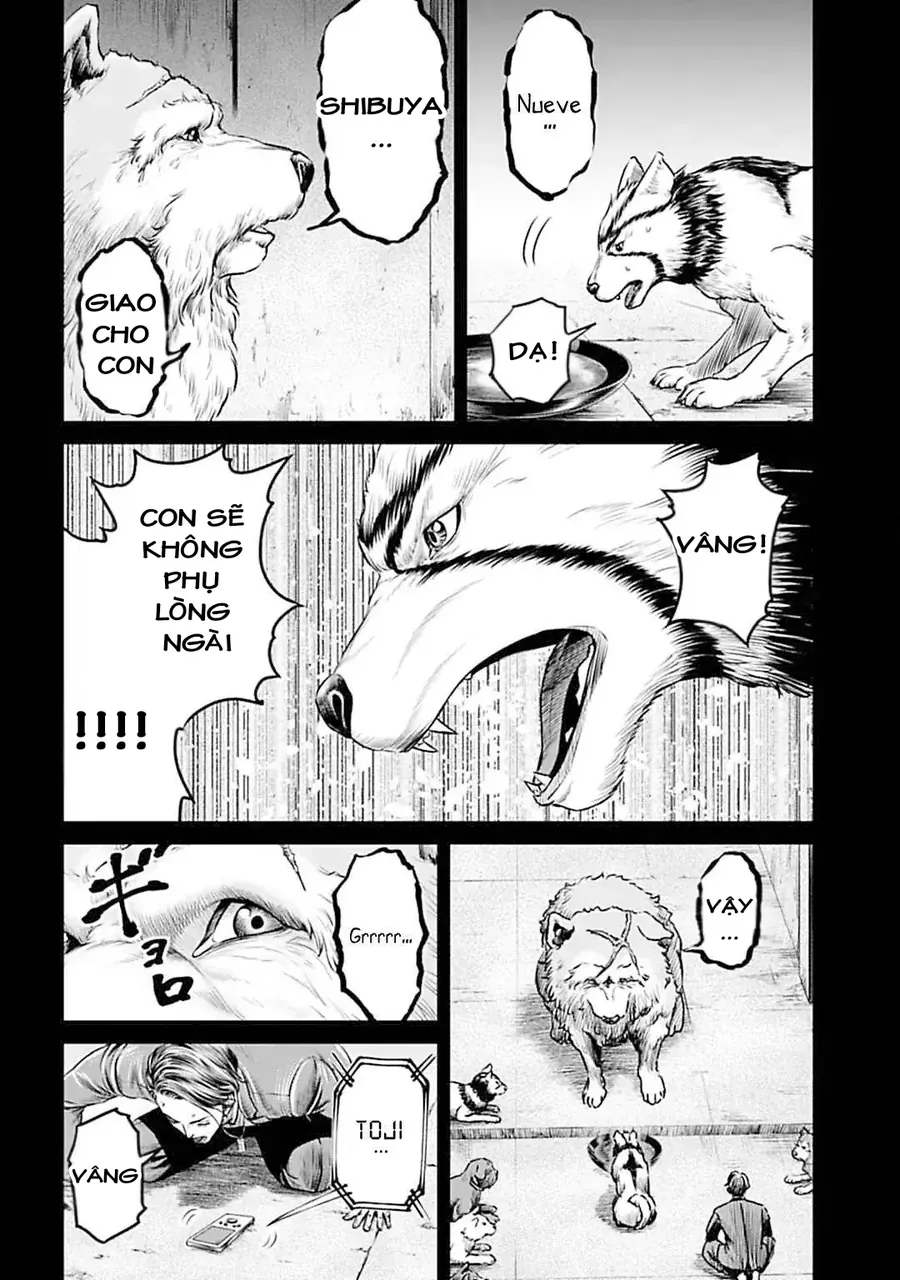 Loạn Đấu Tokyo Chapter 55 - 13