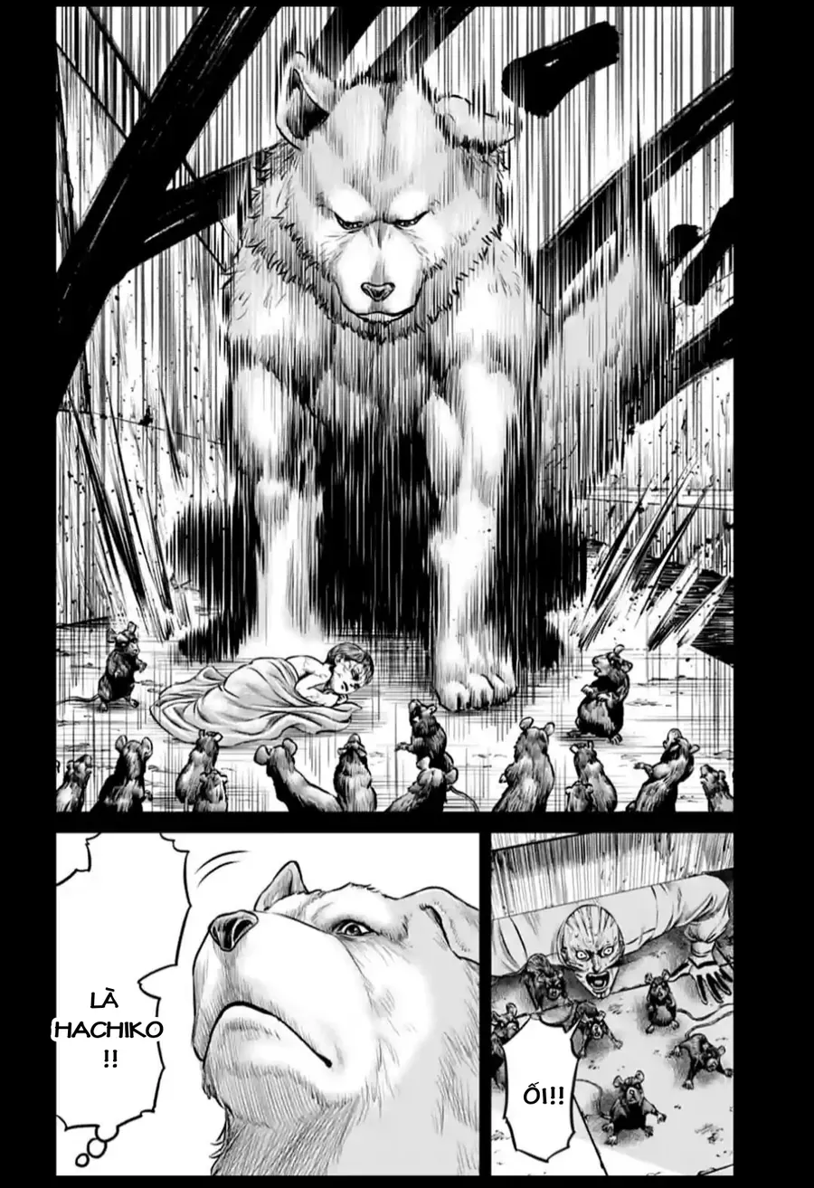 Loạn Đấu Tokyo Chapter 93 - 7