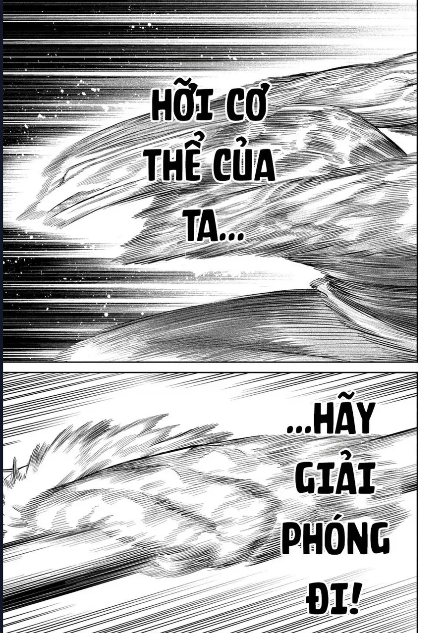 Tenkaichi - Thiên Hạ Đệ Nhất Võ Sĩ Đại Hội Chapter 57 - 4