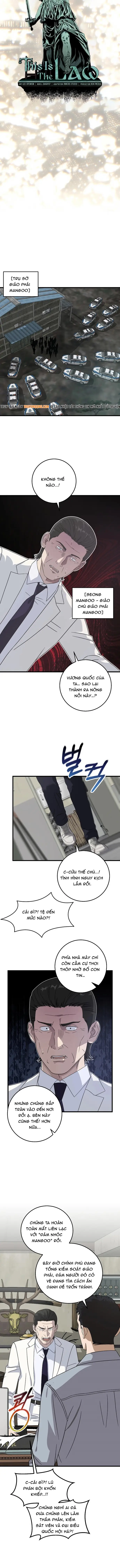 Đây Là Luật Chapter 165 - 3
