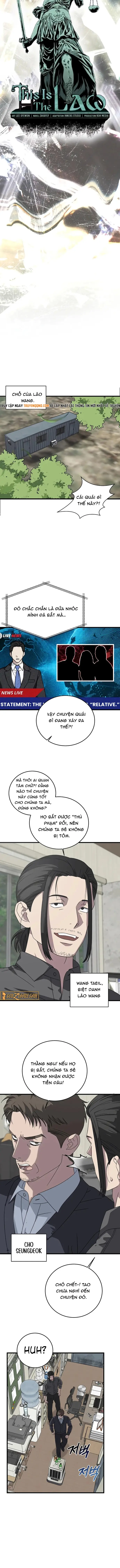 Đây Là Luật Chapter 169 - 7