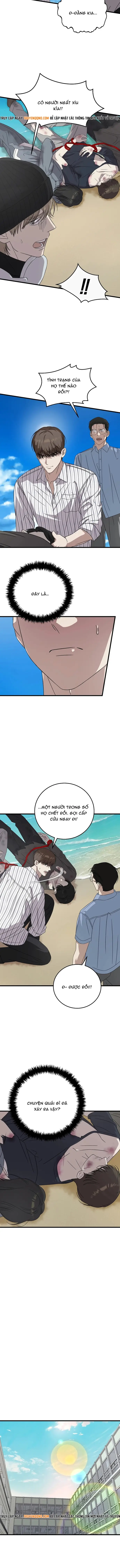 Đây Là Luật Chapter 172 - 12