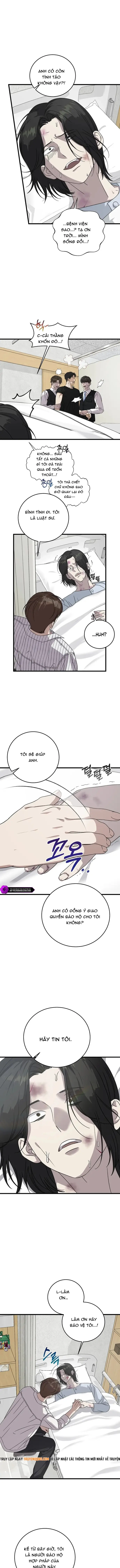 Đây Là Luật Chapter 173 - 3