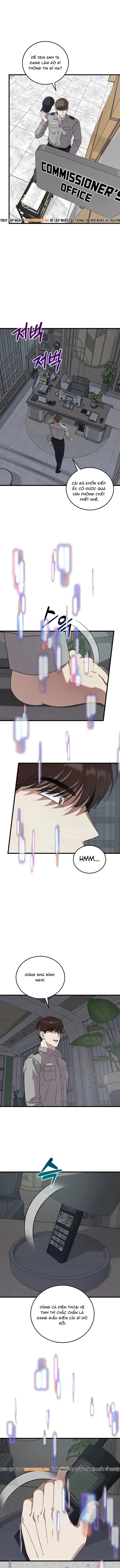 Đây Là Luật Chapter 175 - 11