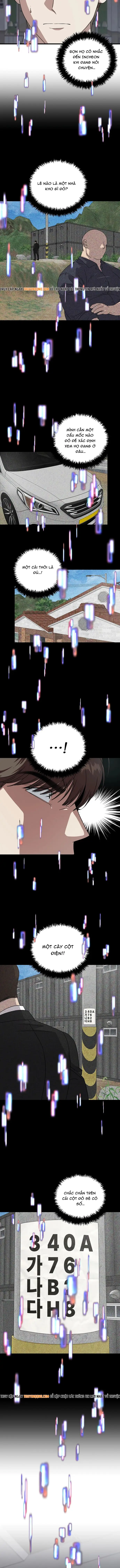 Đây Là Luật Chapter 175 - 13
