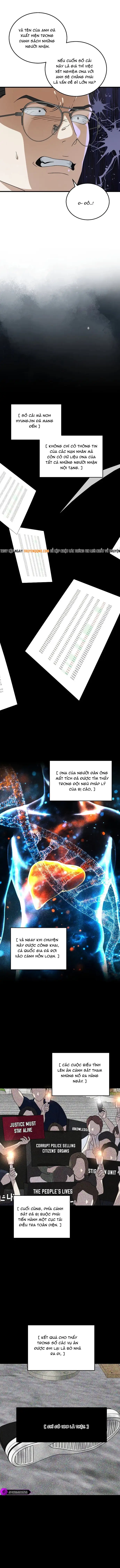Đây Là Luật Chapter 176 - 7