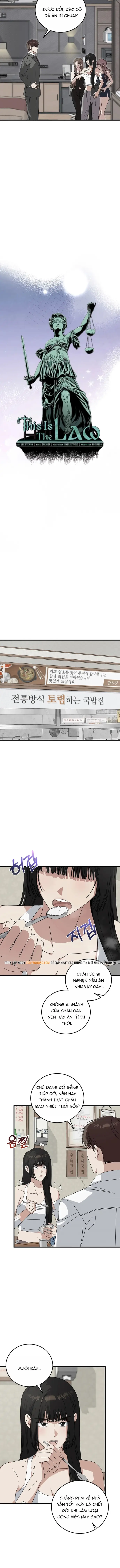 Đây Là Luật Chapter 177 - 4