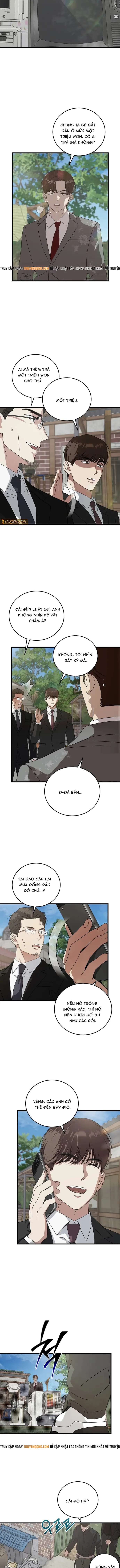Đây Là Luật Chapter 178 - 5