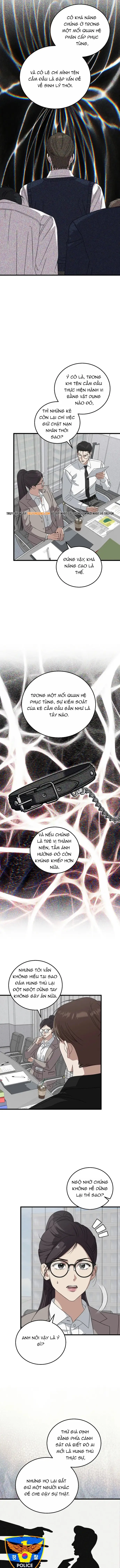 Đây Là Luật Chapter 179 - 5