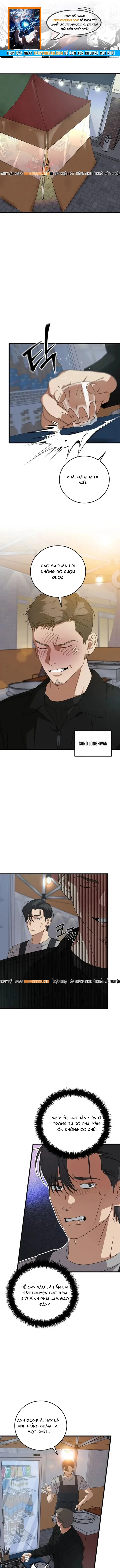 Đây Là Luật Chapter 180 - 1