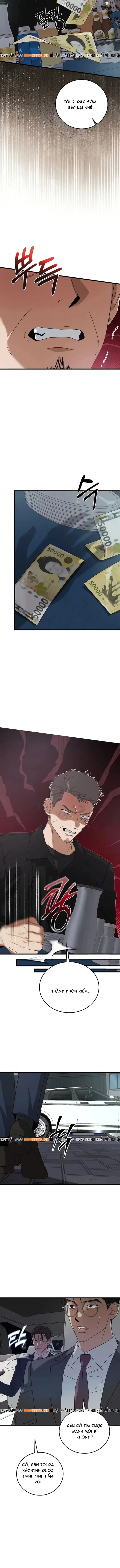 Đây Là Luật Chapter 180 - 5