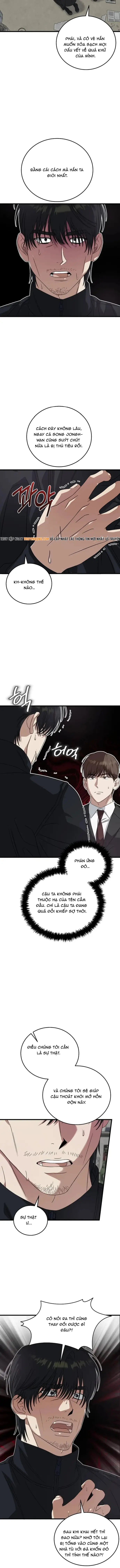 Đây Là Luật Chapter 180 - 12