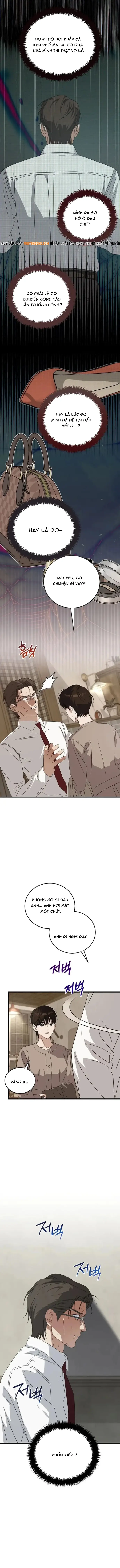 Đây Là Luật Chapter 181 - 4