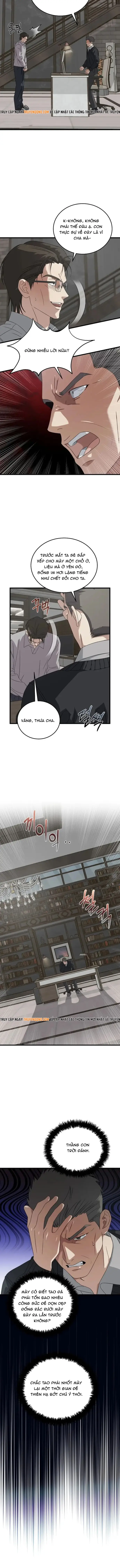 Đây Là Luật Chapter 181 - 13