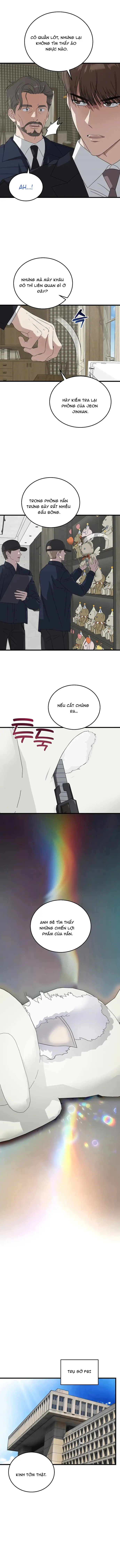Đây Là Luật Chapter 182 - 7