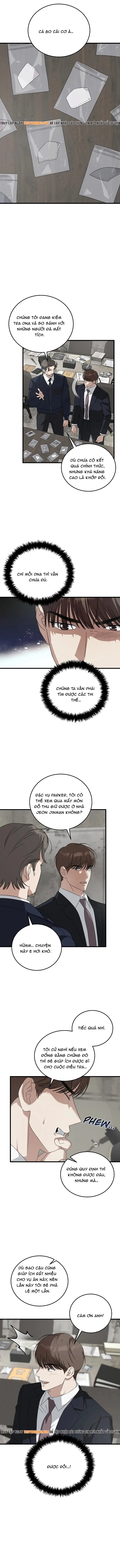 Đây Là Luật Chapter 182 - 8