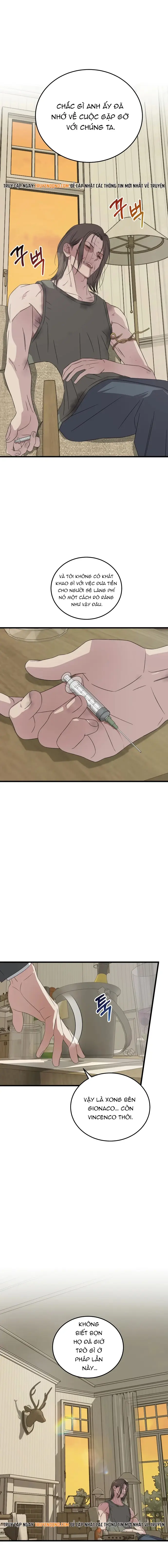 Đây Là Luật Chapter 187 - 14