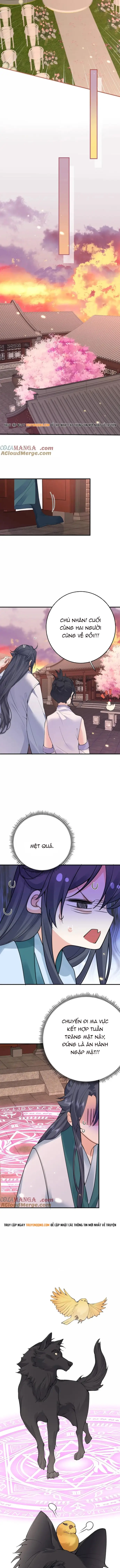 Ta Vô Địch Lúc Nào Chapter 288 - 3