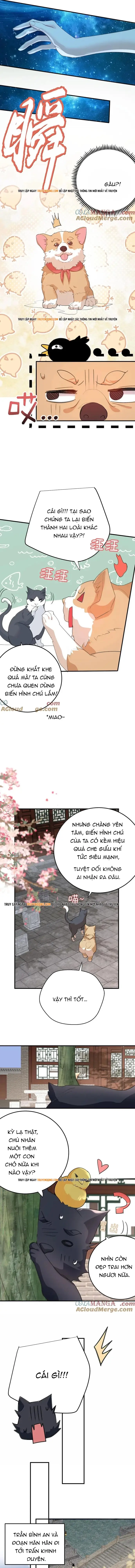 Ta Vô Địch Lúc Nào Chapter 303 - 3