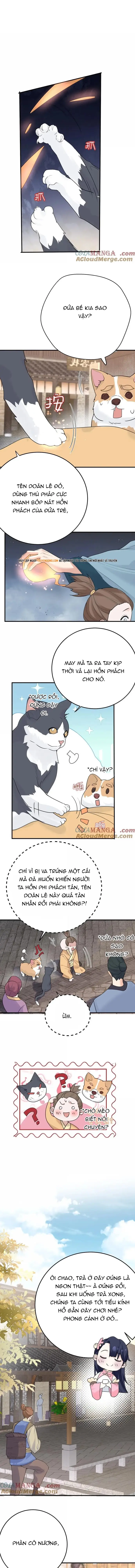 Ta Vô Địch Lúc Nào Chapter 304 - 4