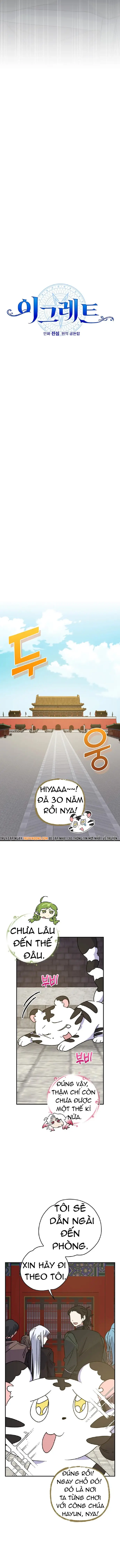 Nhà Hiền Triết Yigret Chapter 104 - 4