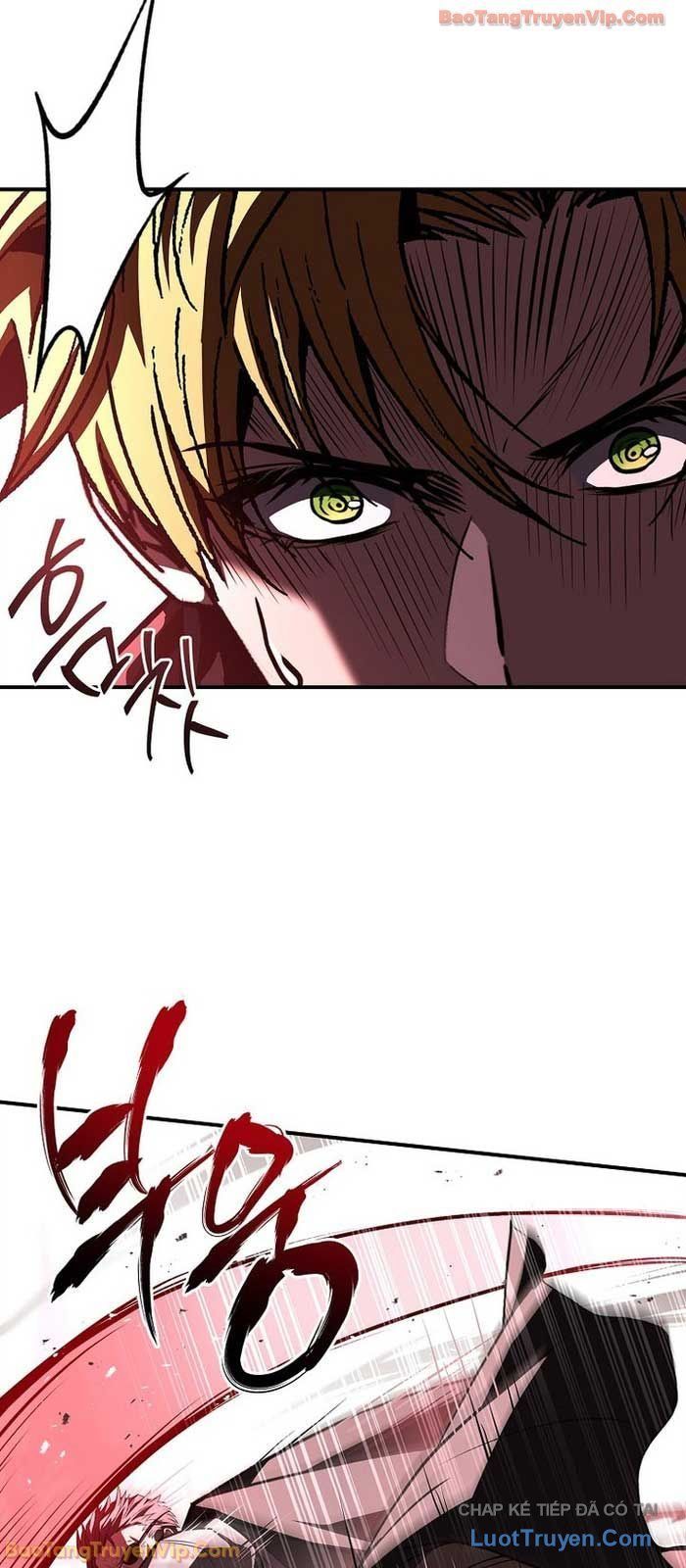 Thiên Tài Ma Pháp Sư Giấu Nghề Chapter 118 - 46