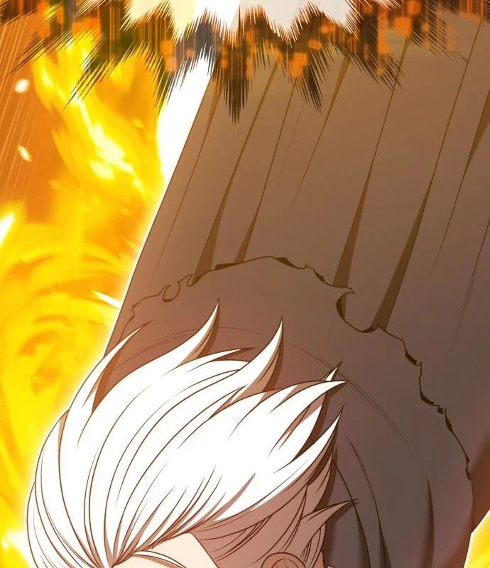 Gậy Gỗ Cấp 99+ Chapter 175 - 101