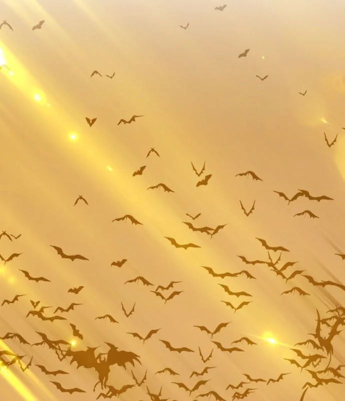 Gậy Gỗ Cấp 99+ Chapter 175 - 12