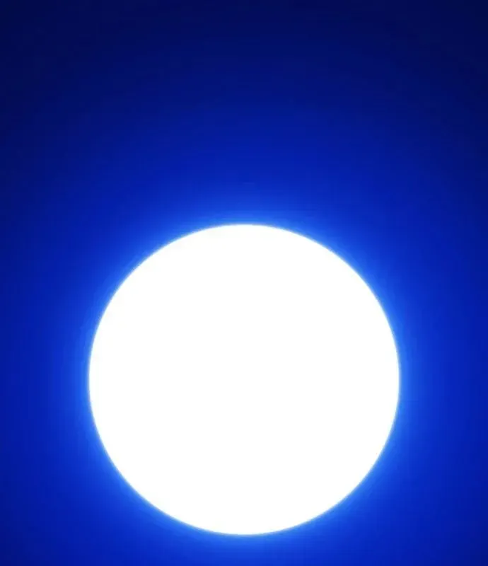 Gậy Gỗ Cấp 99+ Chapter 177 - 43