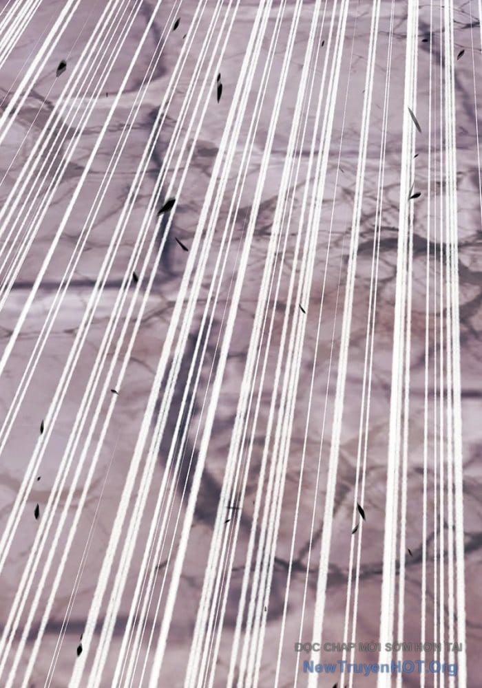 Gậy Gỗ Cấp 99+ Chapter 179.5 - 8