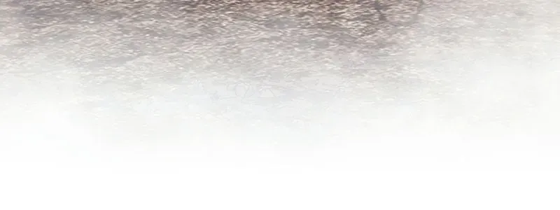 Gậy Gỗ Cấp 99+ Chapter 186 - 205