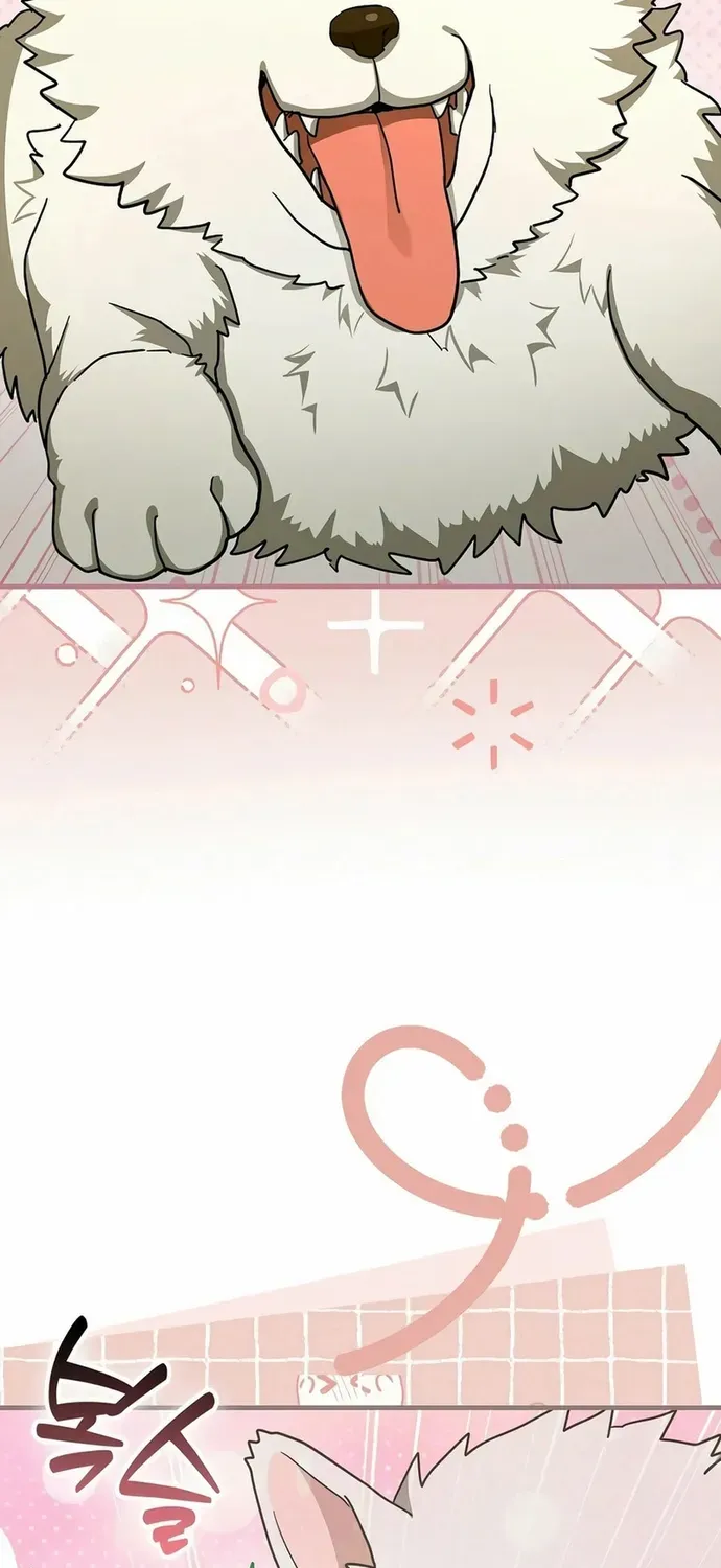 Thánh Cái Khỉ Gì, Đây Là Sức Mạnh Của Y Học Hiện Đại Chapter 151 - 46